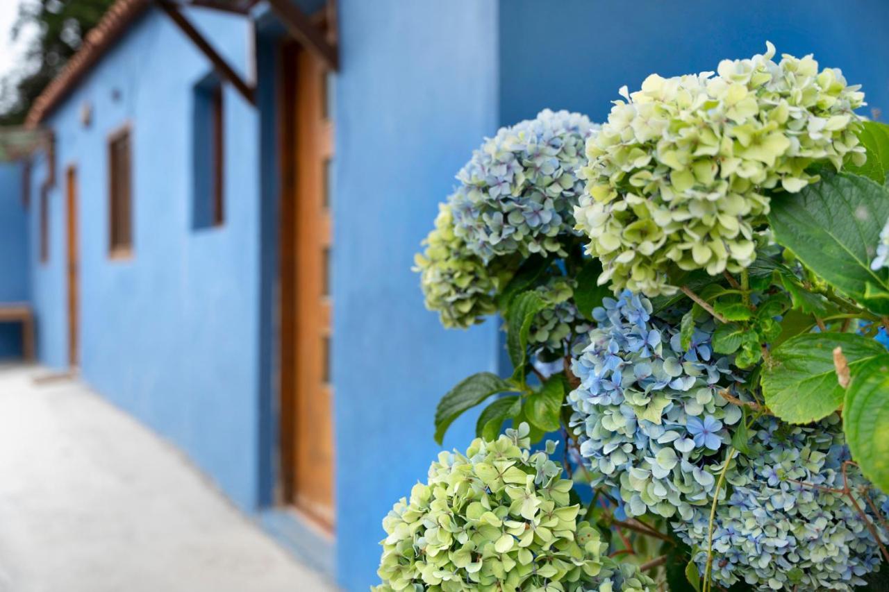 Casa Azul Del Roque Negro Villa Santa Cruz de Tenerife Luaran gambar